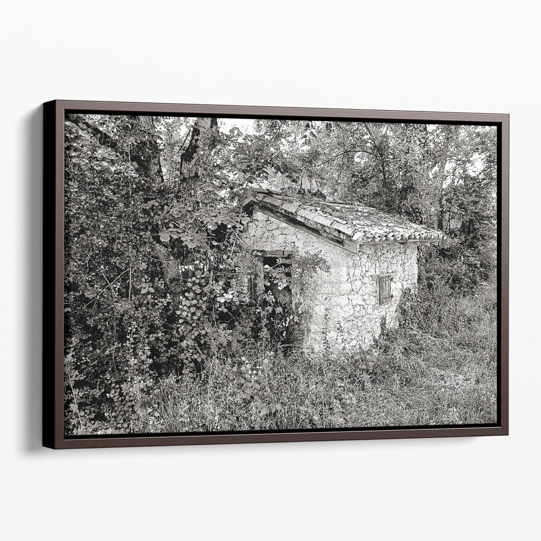 Back To Nature Black And White - Canvas Print Wall Art