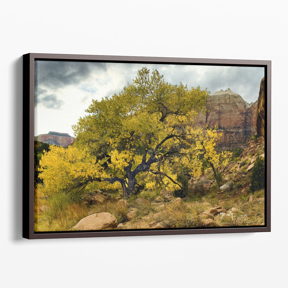 Brilliant View III - Canvas Print Wall Art