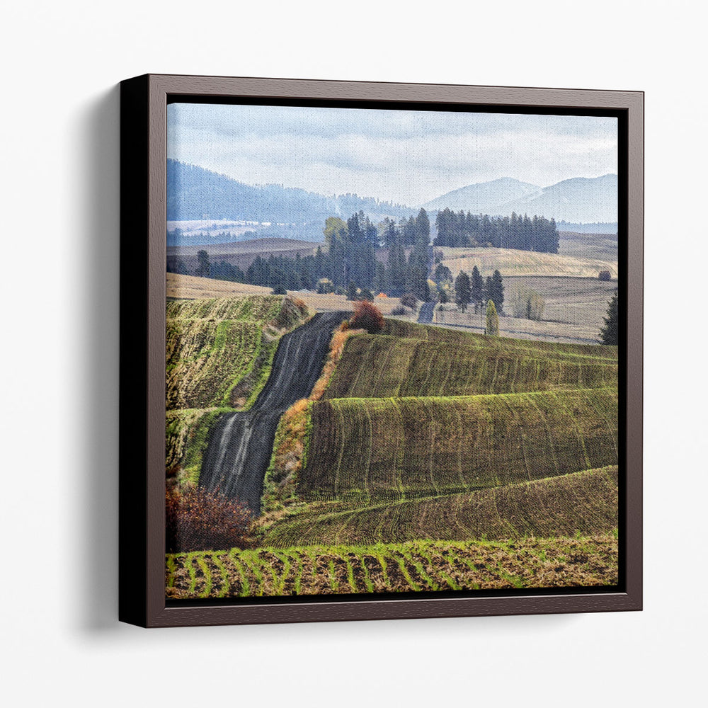 Palouse Hills - Canvas Print Wall Art