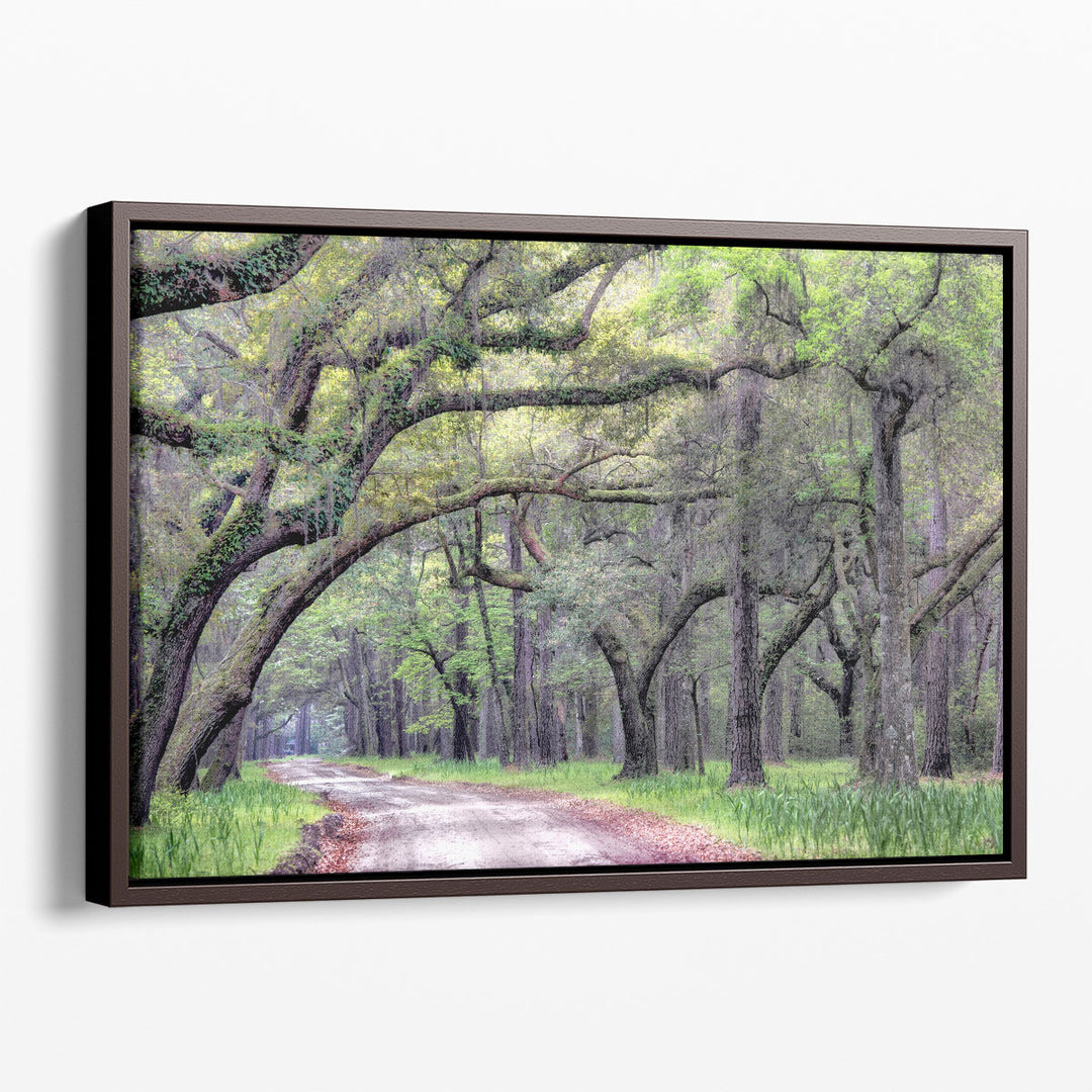 Dirt Road I - Canvas Print Wall Art