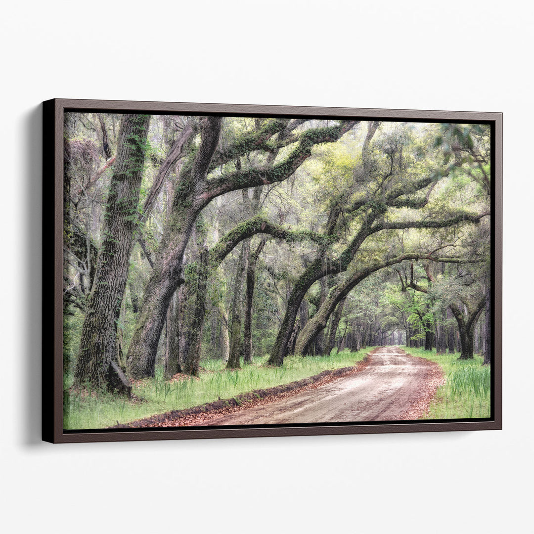 Dirt Road II - Canvas Print Wall Art