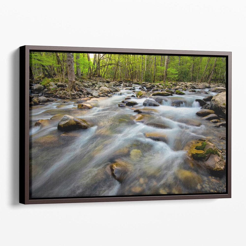 Golden Flow - Canvas Print Wall Art