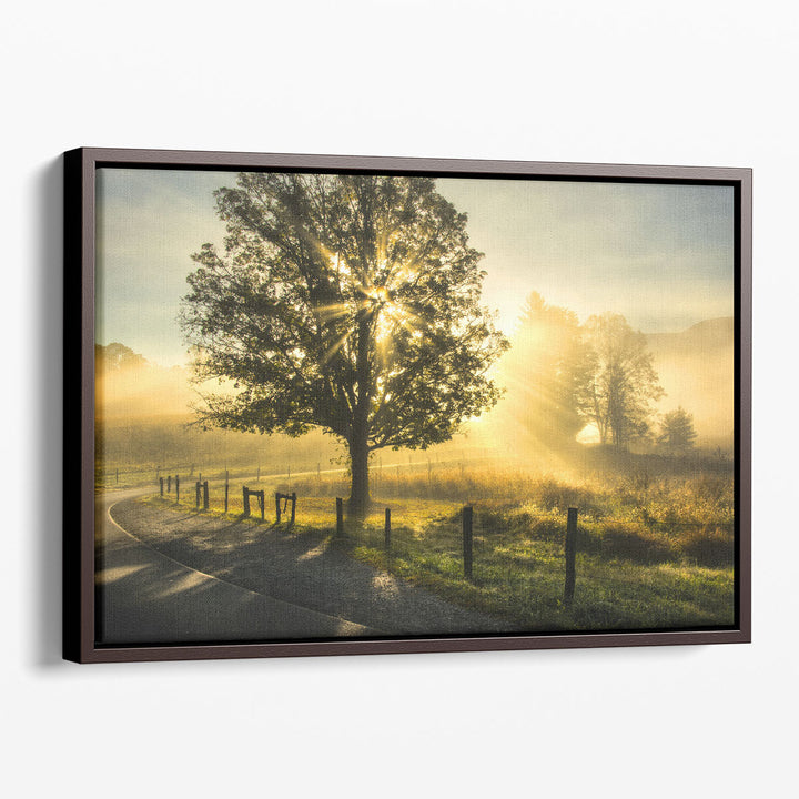 Wake Up Call - Canvas Print Wall Art