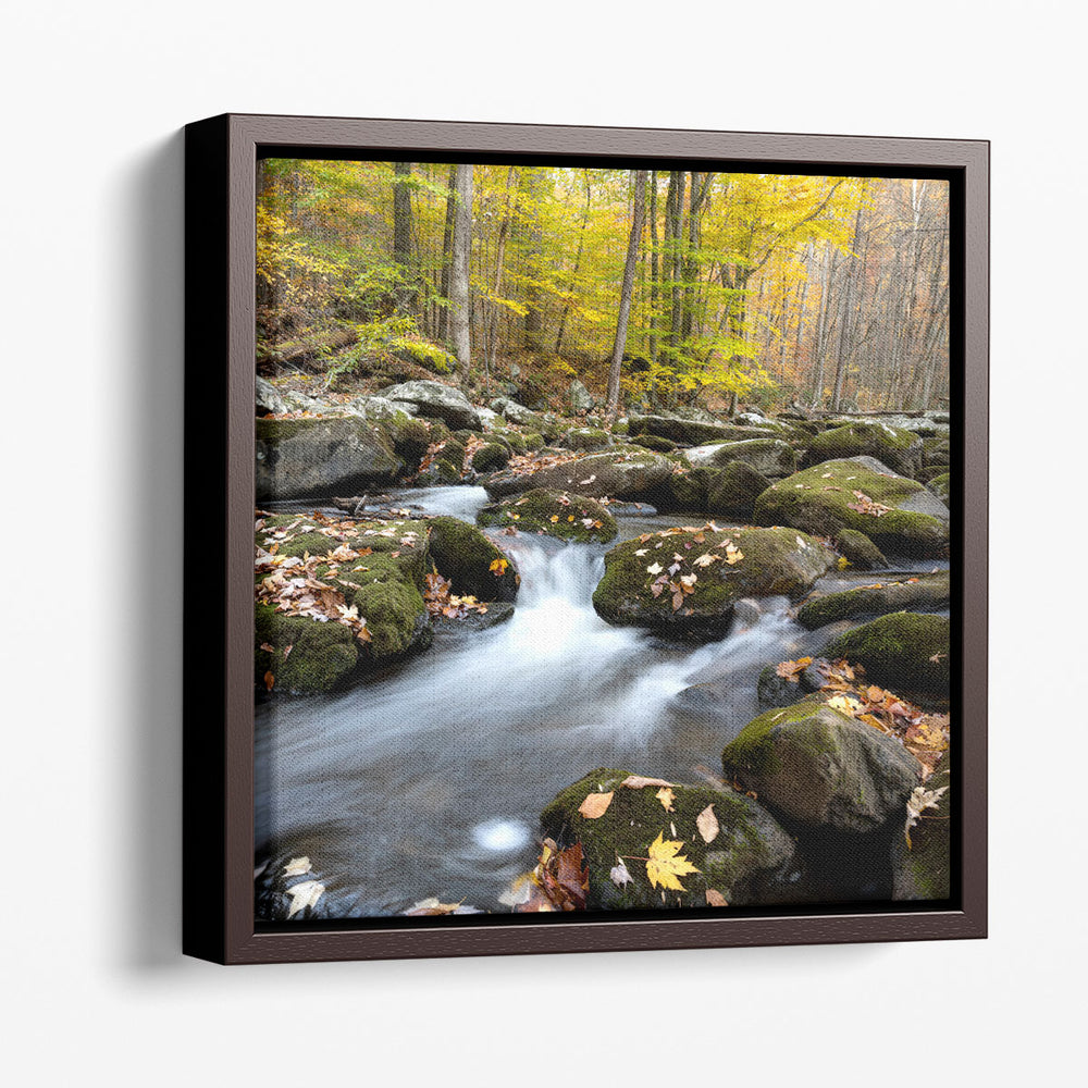 Autumn Rush - Canvas Print Wall Art