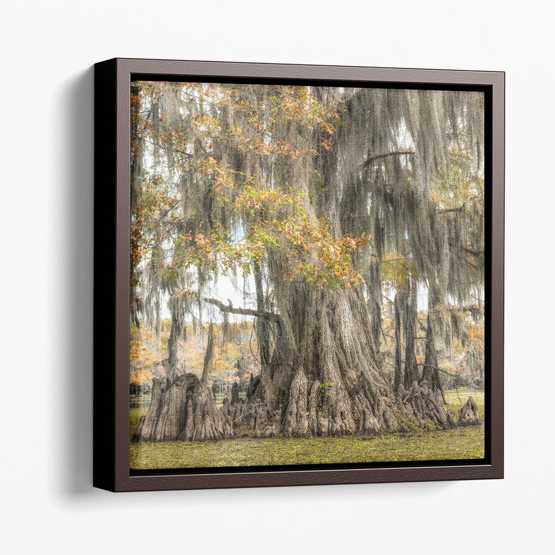 Bayou Light II - Canvas Print Wall Art