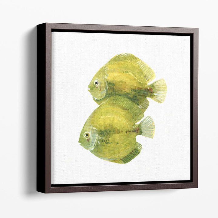 Discus Fish II - Canvas Print Wall Art