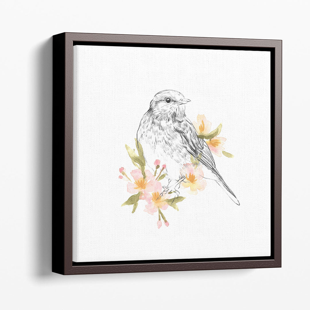 Robin Sketch I - Canvas Print Wall Art