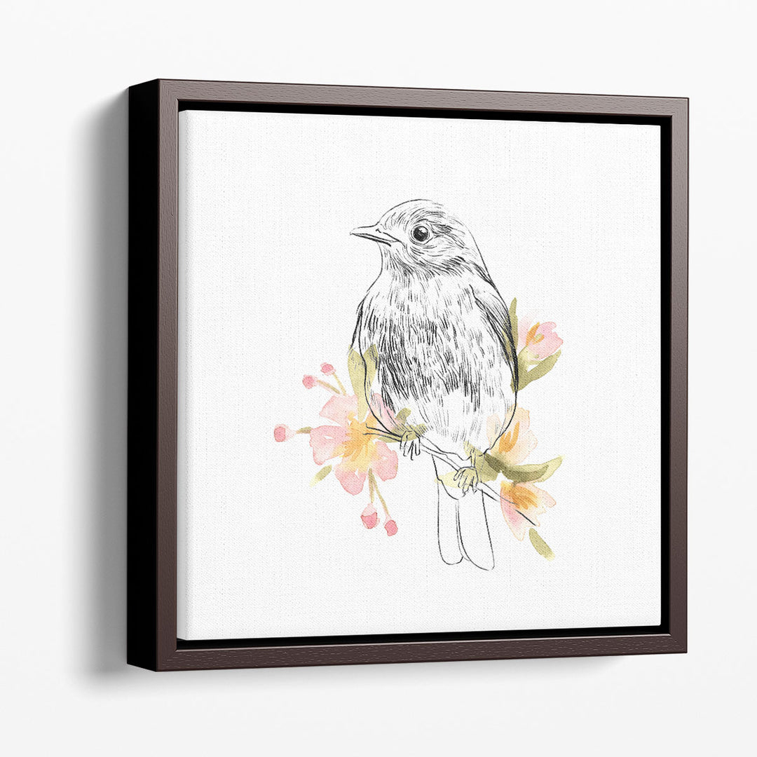 Robin Sketch II - Canvas Print Wall Art