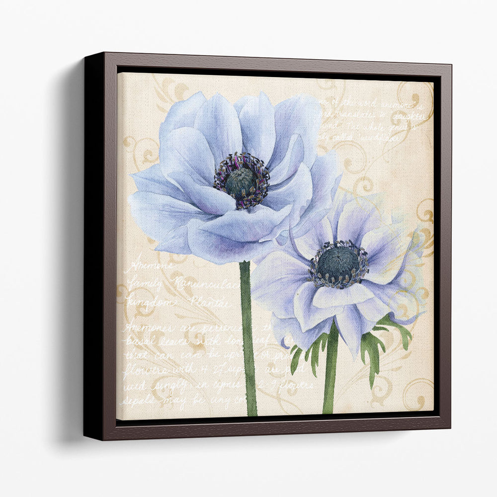 Elegant Anemone I - Canvas Print Wall Art