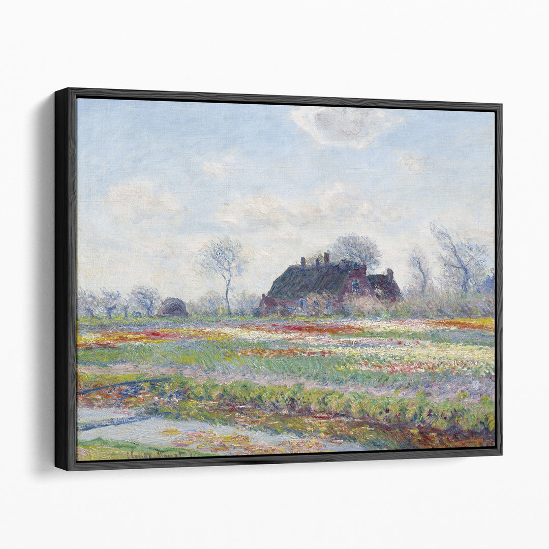 Tulip Fields at Sassenheim, 1886 - Canvas Print Wall Art