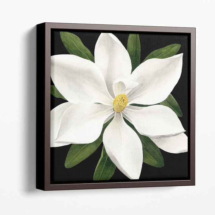 Midnight Magnolia I - Canvas Print Wall Art