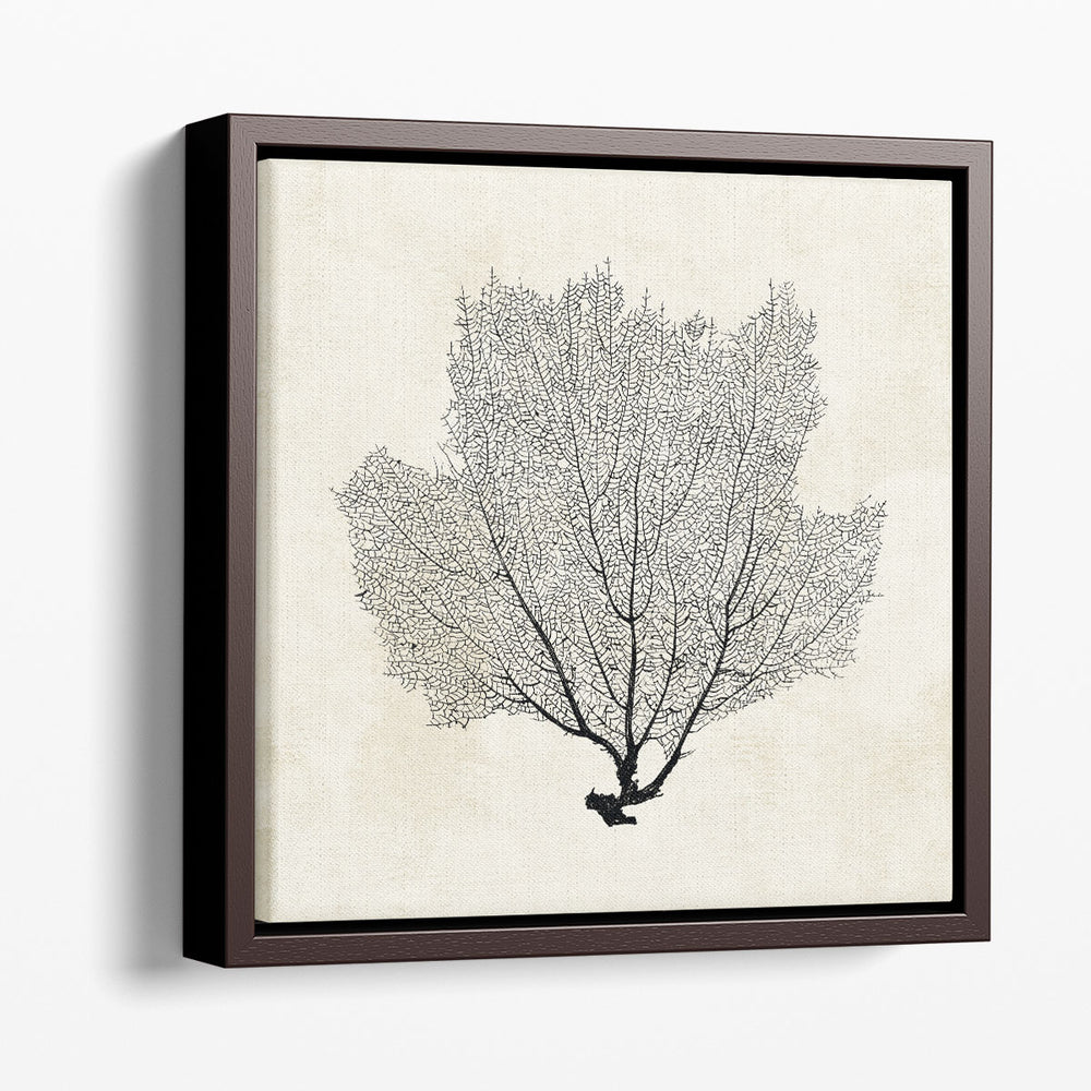 Sea Fan Sketch I Black And White - Canvas Print Wall Art