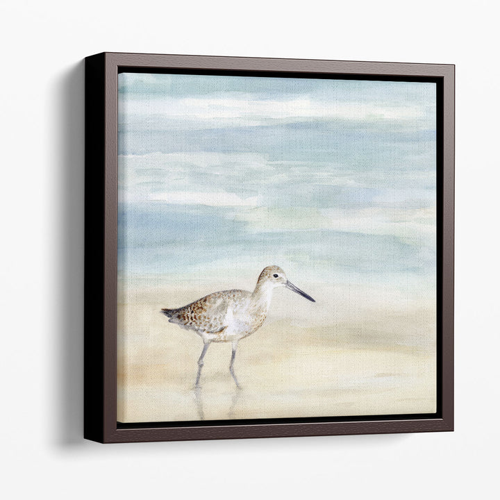 Speckled Willet I - Canvas Print Wall Art