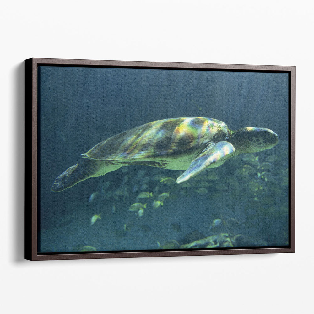 Aegean Sea Turtles I - Canvas Print Wall Art