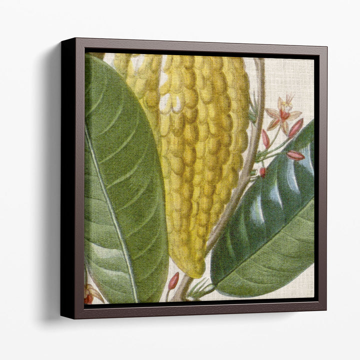 Cropped Turpin Tropicals VI - Canvas Print Wall Art