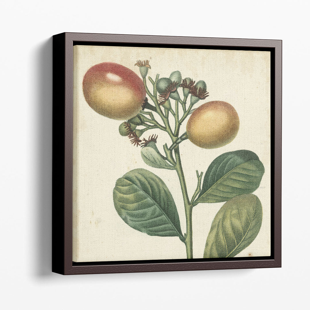 Garden Bounty I - Canvas Print Wall Art