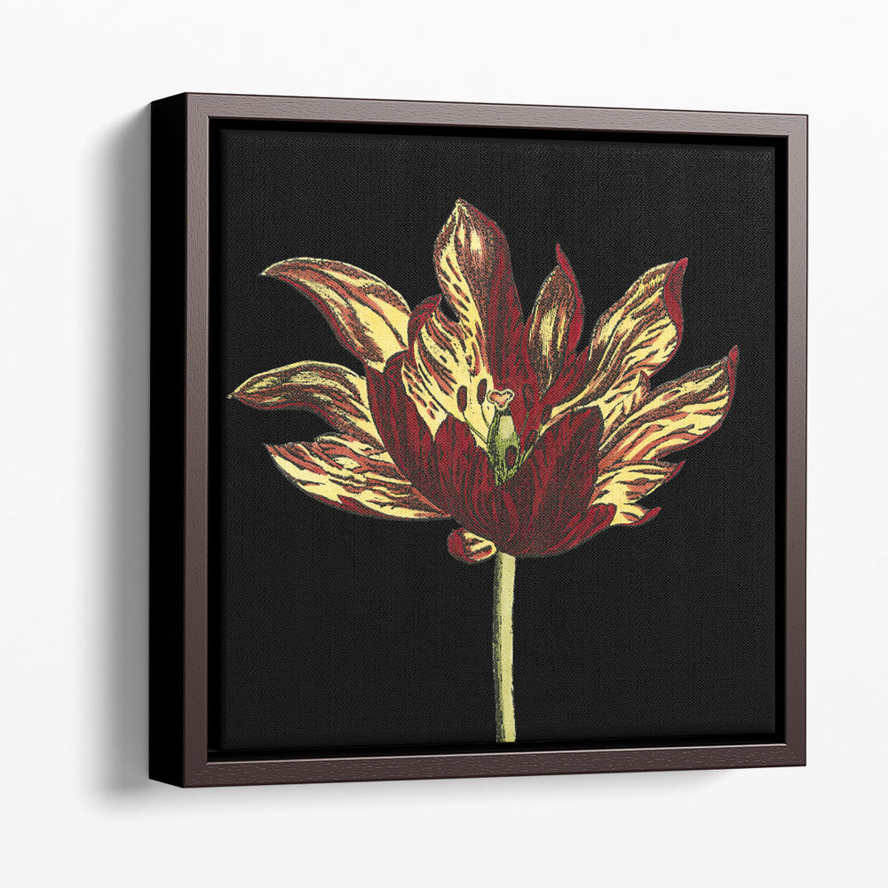 Natural Beauty on Black I - Canvas Print Wall Art