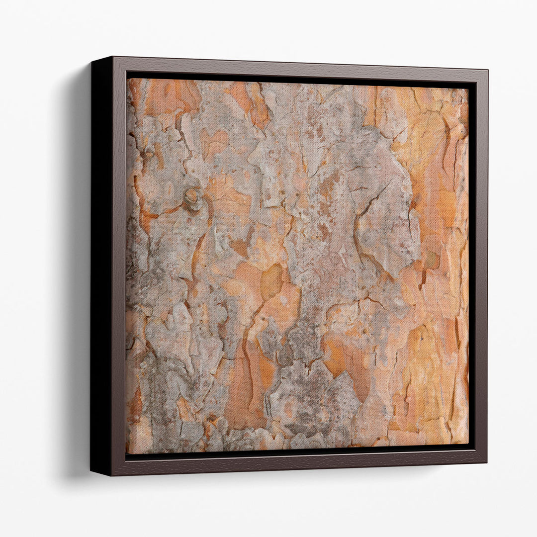 Natures Textures VII - Canvas Print Wall Art