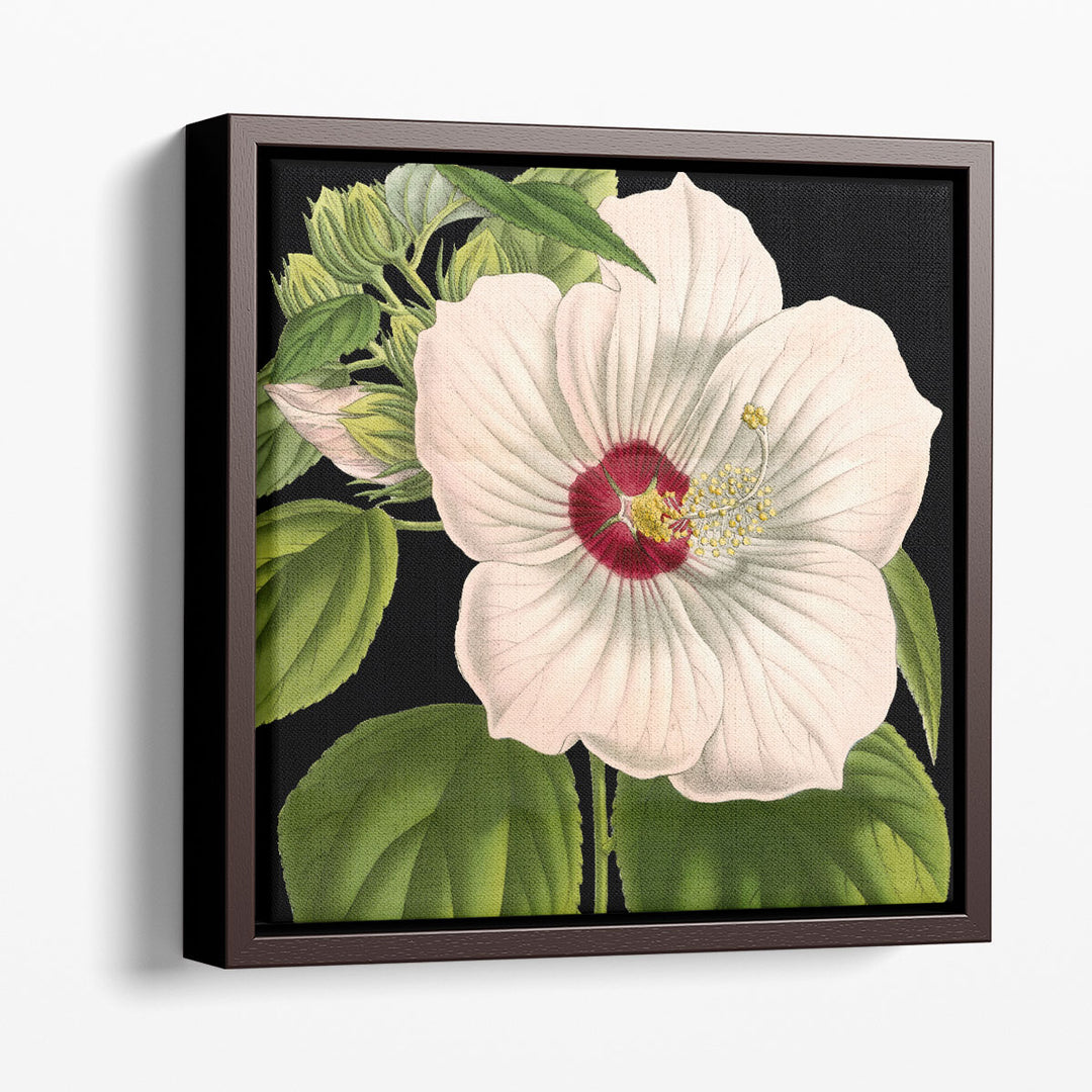 Dramatic Tropical Vision I - Canvas Print Wall Art