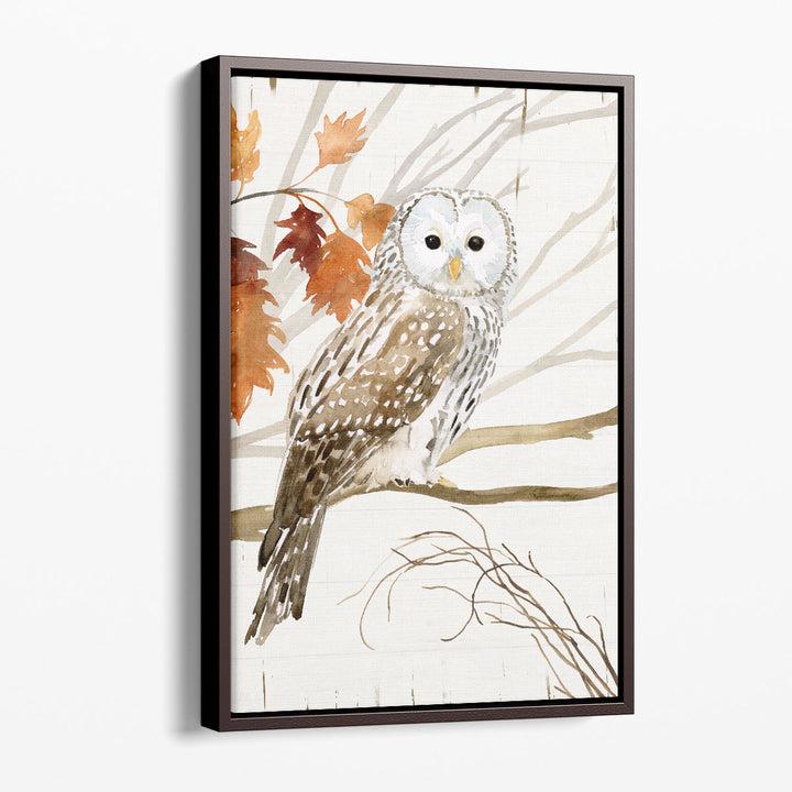 Harvest Owl I - Canvas Print Wall Art