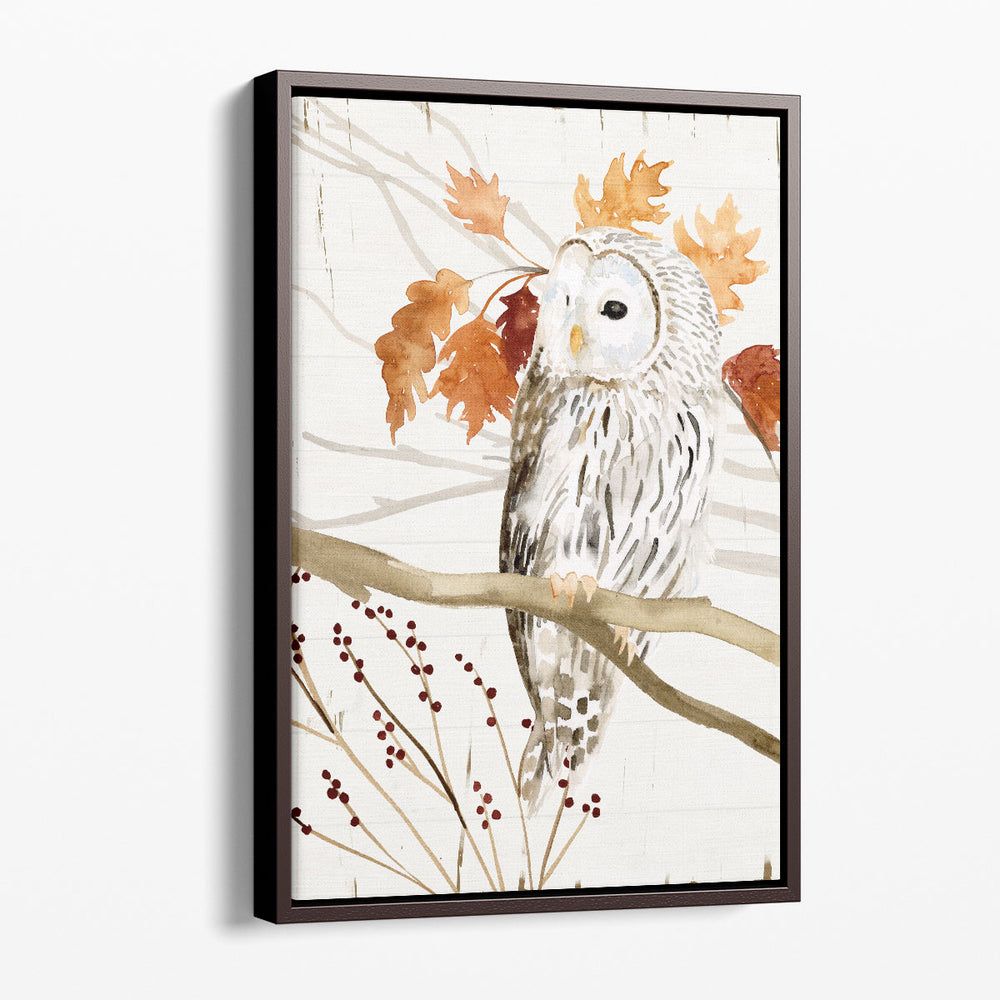 Harvest Owl II - Canvas Print Wall Art