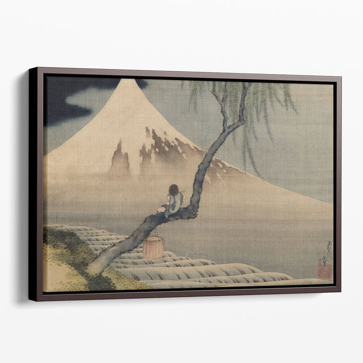 Boy on Mt Fuji - Canvas Print Wall Art