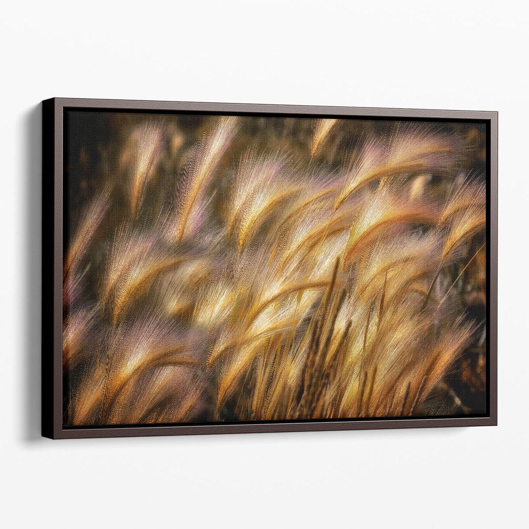 Field Of Grain - Canvas Print Wall Art