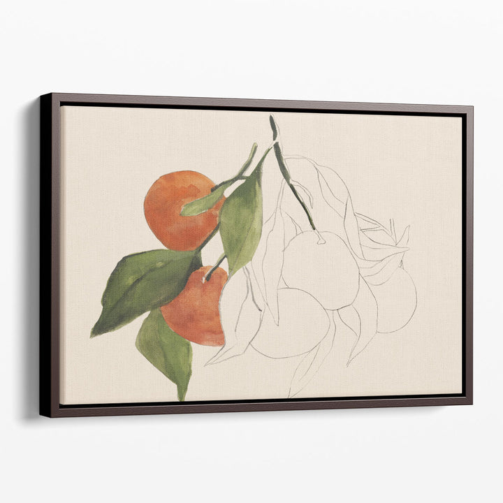 Tangerine Sketch II - Canvas Print Wall Art