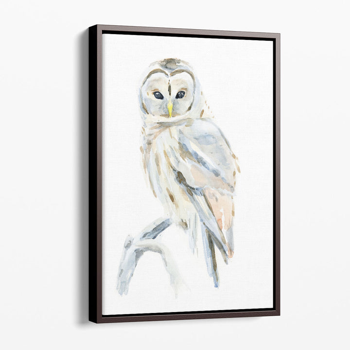 Arctic Owl II - Canvas Print Wall Art