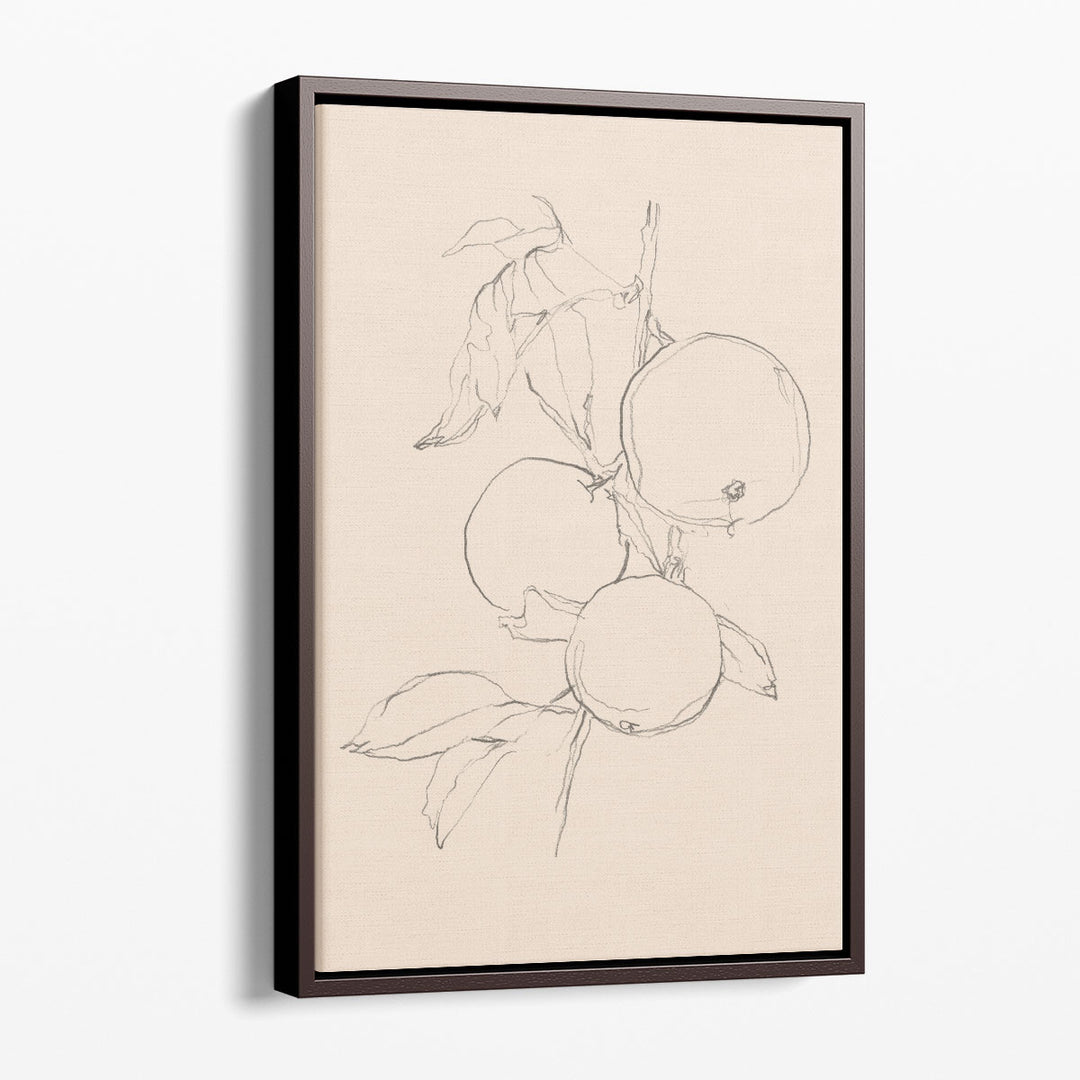 Fruit Contour Study I - Canvas Print Wall Art