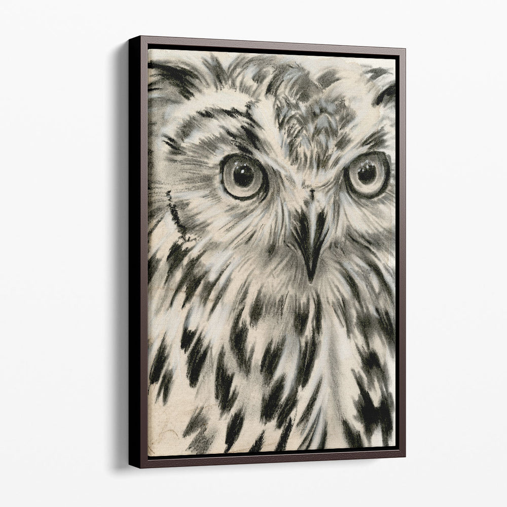 Charcoal Owl I - Canvas Print Wall Art