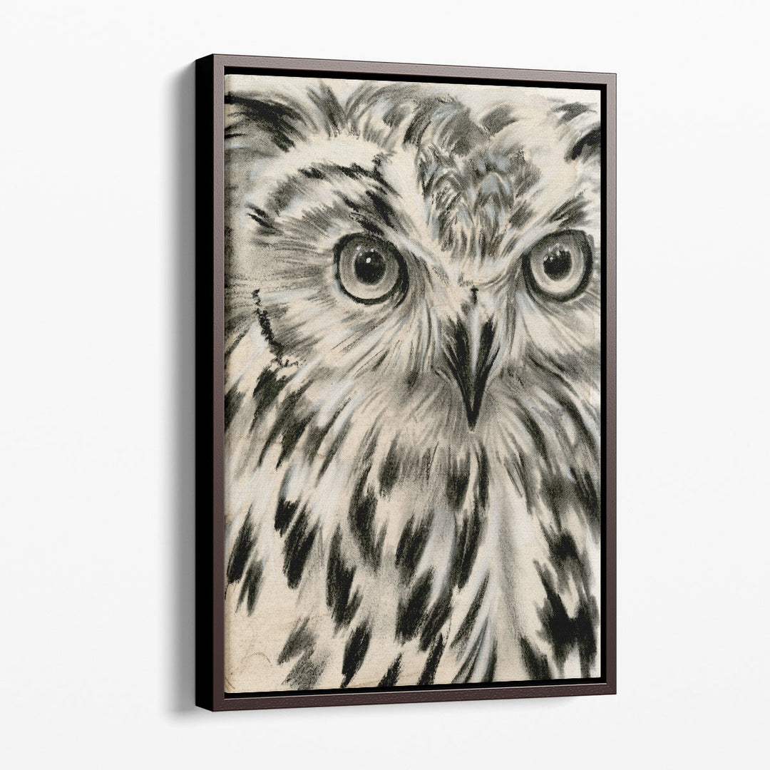 Charcoal Owl I - Canvas Print Wall Art