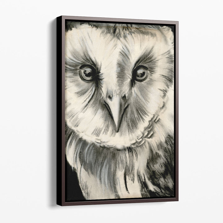 Charcoal Owl II - Canvas Print Wall Art