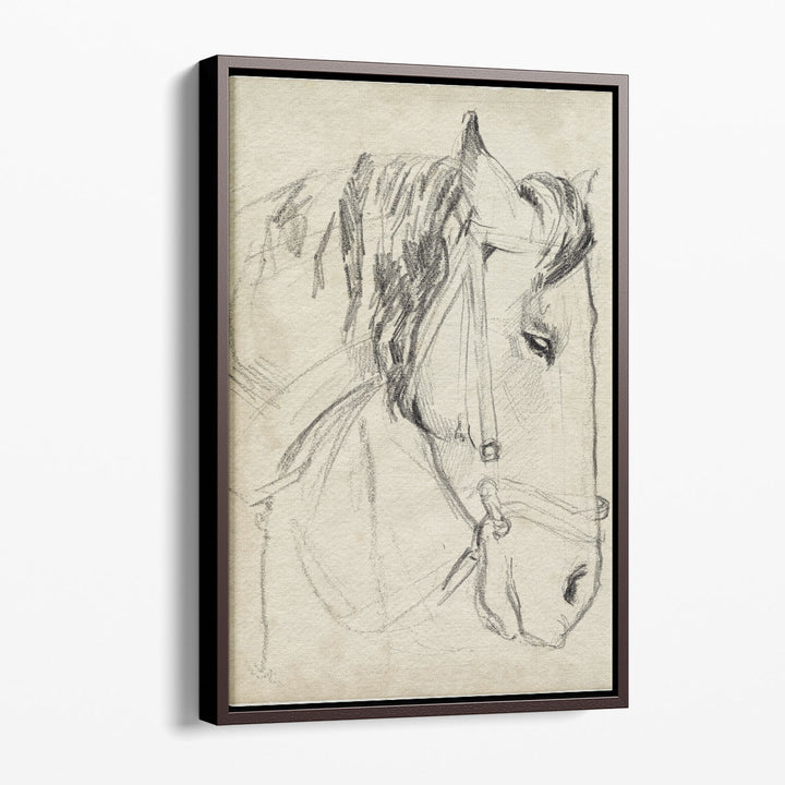 Horse in Bridle Sketch I - Canvas Print Wall Art