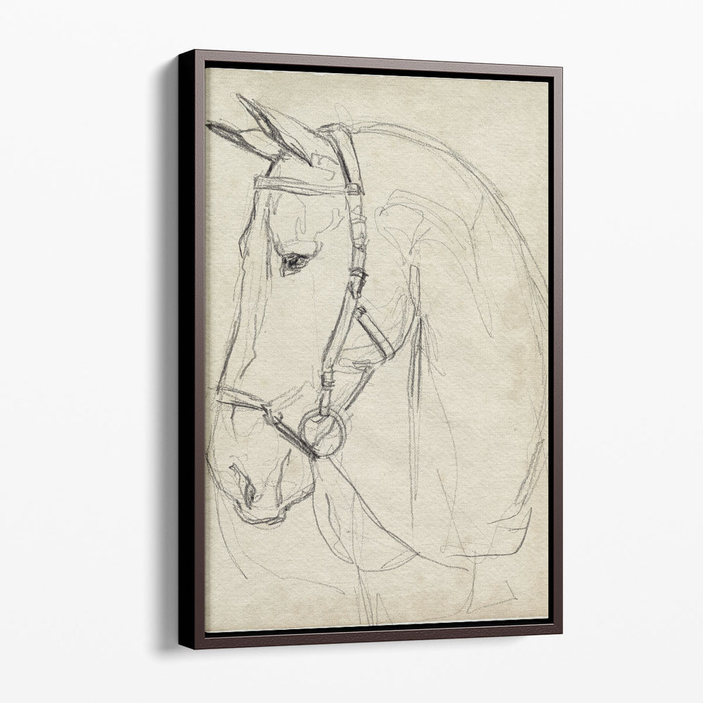 Horse in Bridle Sketch II - Canvas Print Wall Art