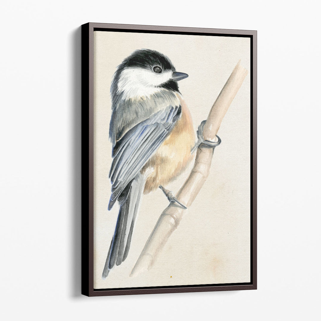 Little Bird on Branch II - Canvas Print Wall Art