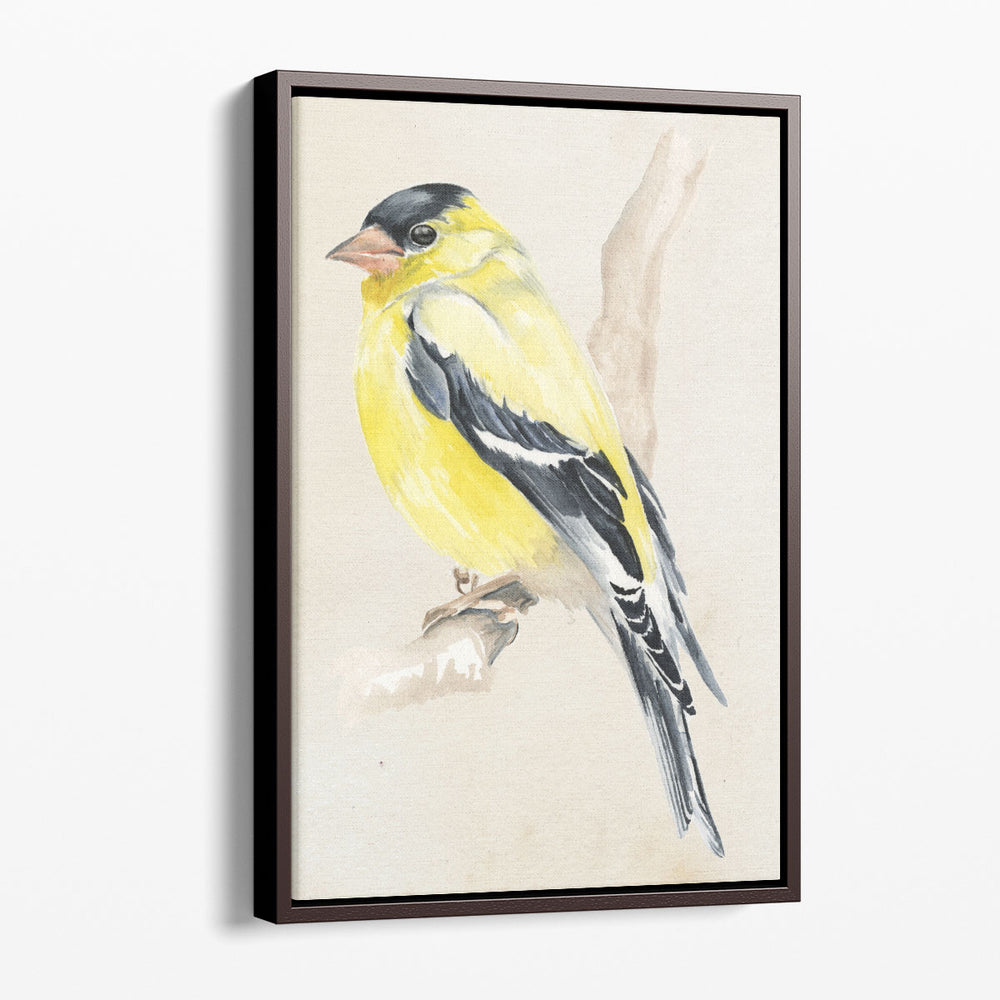 Little Bird on Branch III - Canvas Print Wall Art