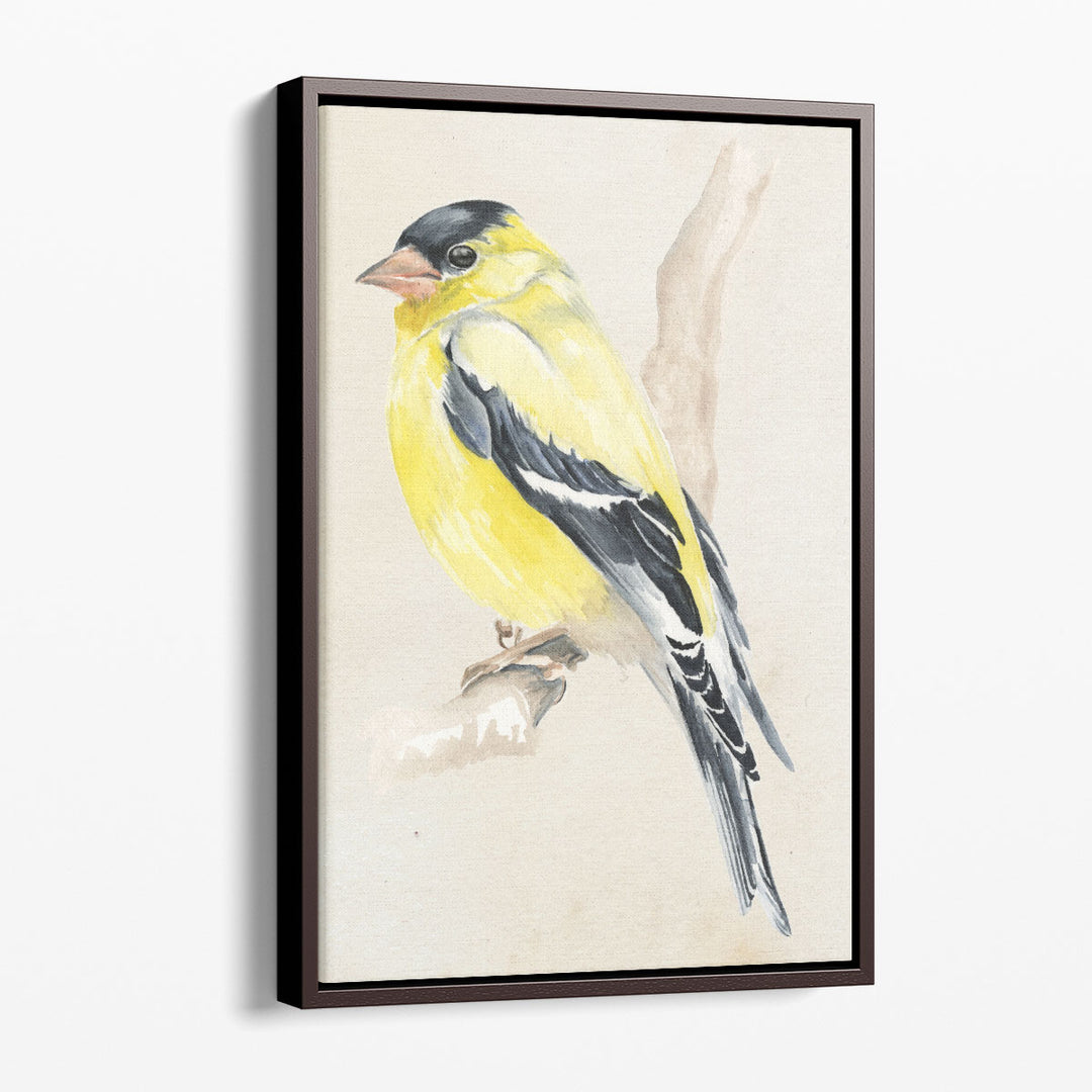 Little Bird on Branch III - Canvas Print Wall Art