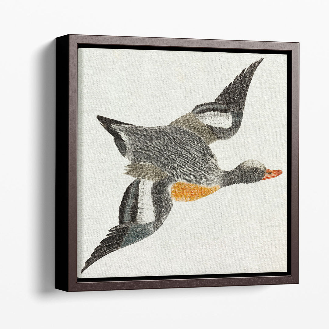 Flying Ducks I - Canvas Print Wall Art