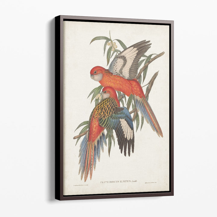 Tropical Parrots I - Canvas Print Wall Art