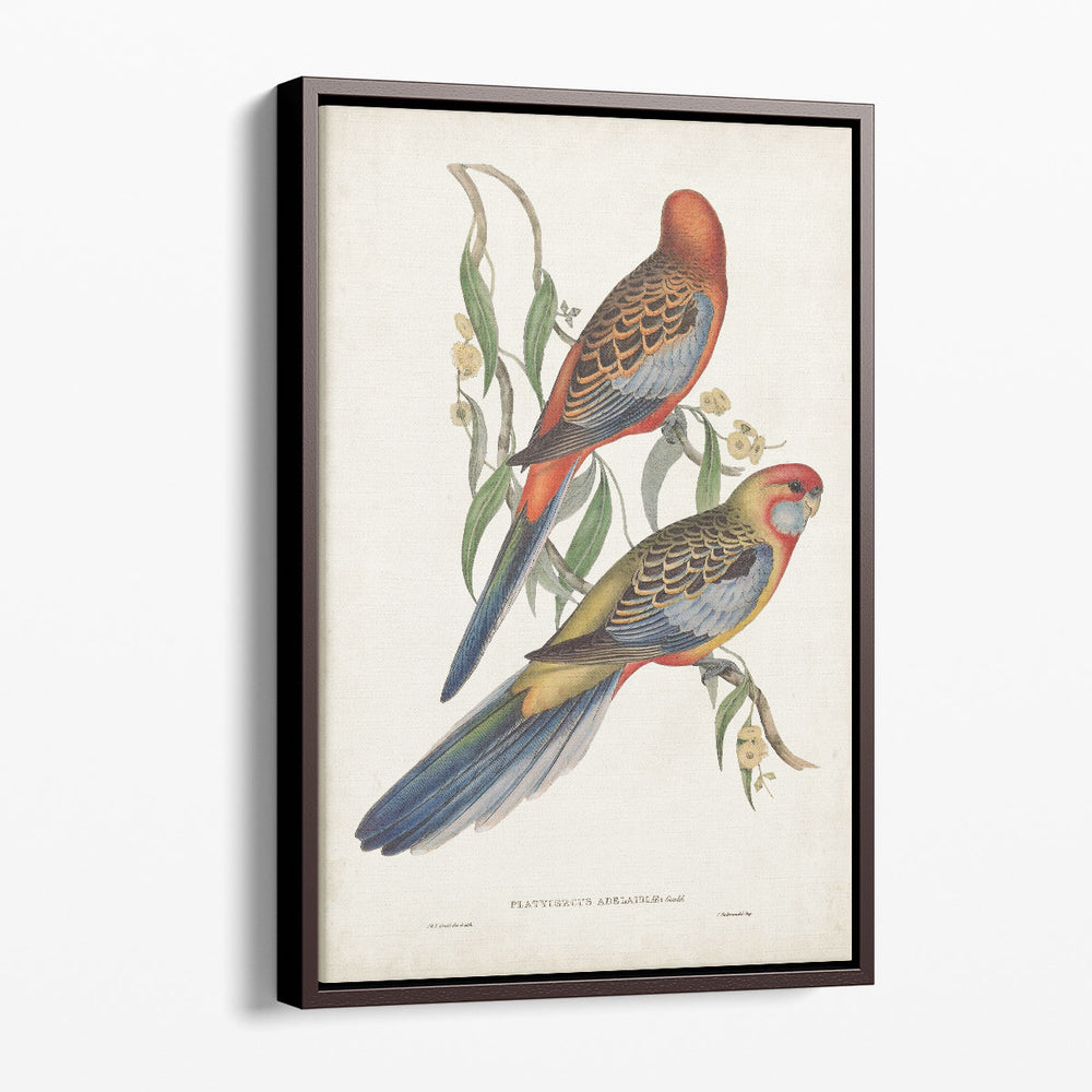 Tropical Parrots II - Canvas Print Wall Art