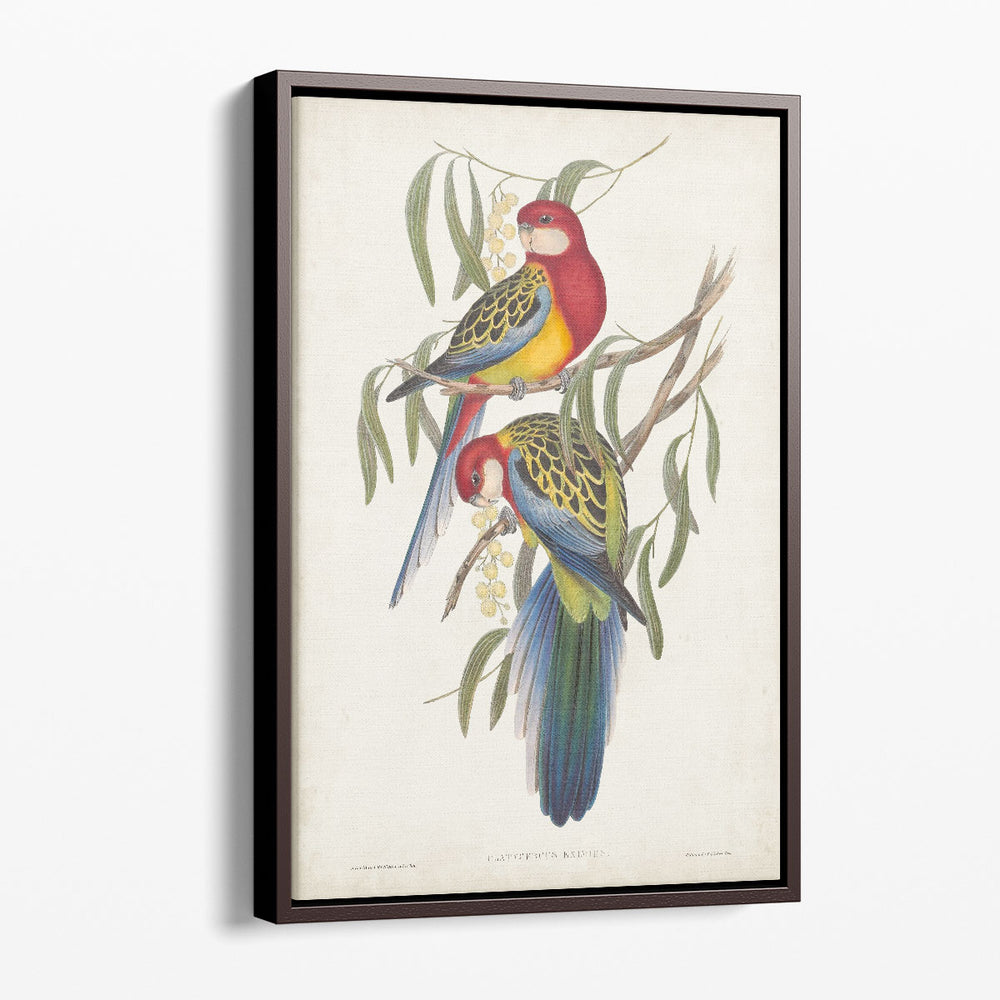 Tropical Parrots IV - Canvas Print Wall Art