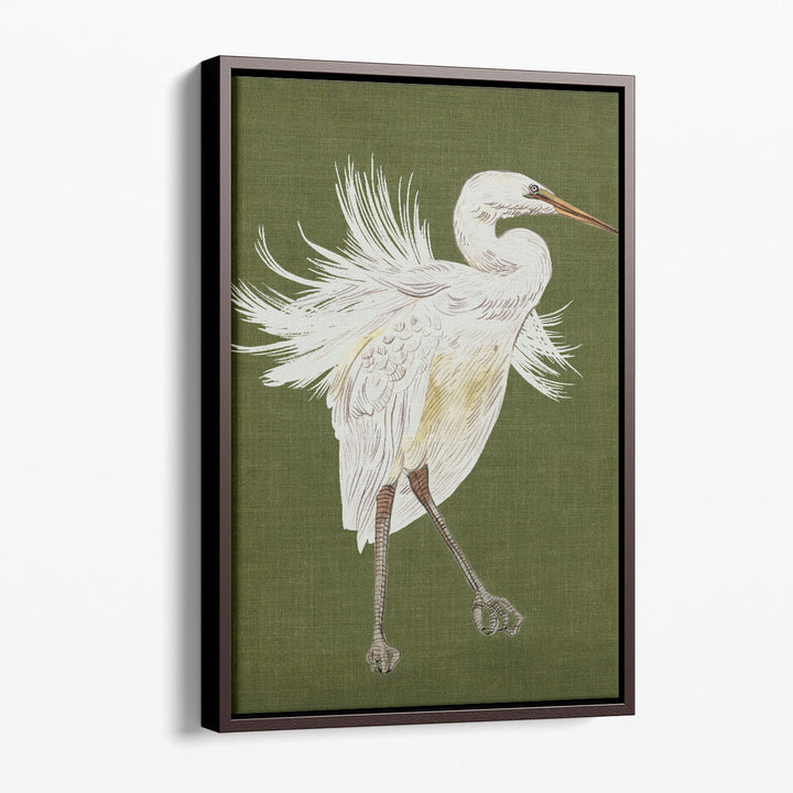 Heron Plumage I - Canvas Print Wall Art