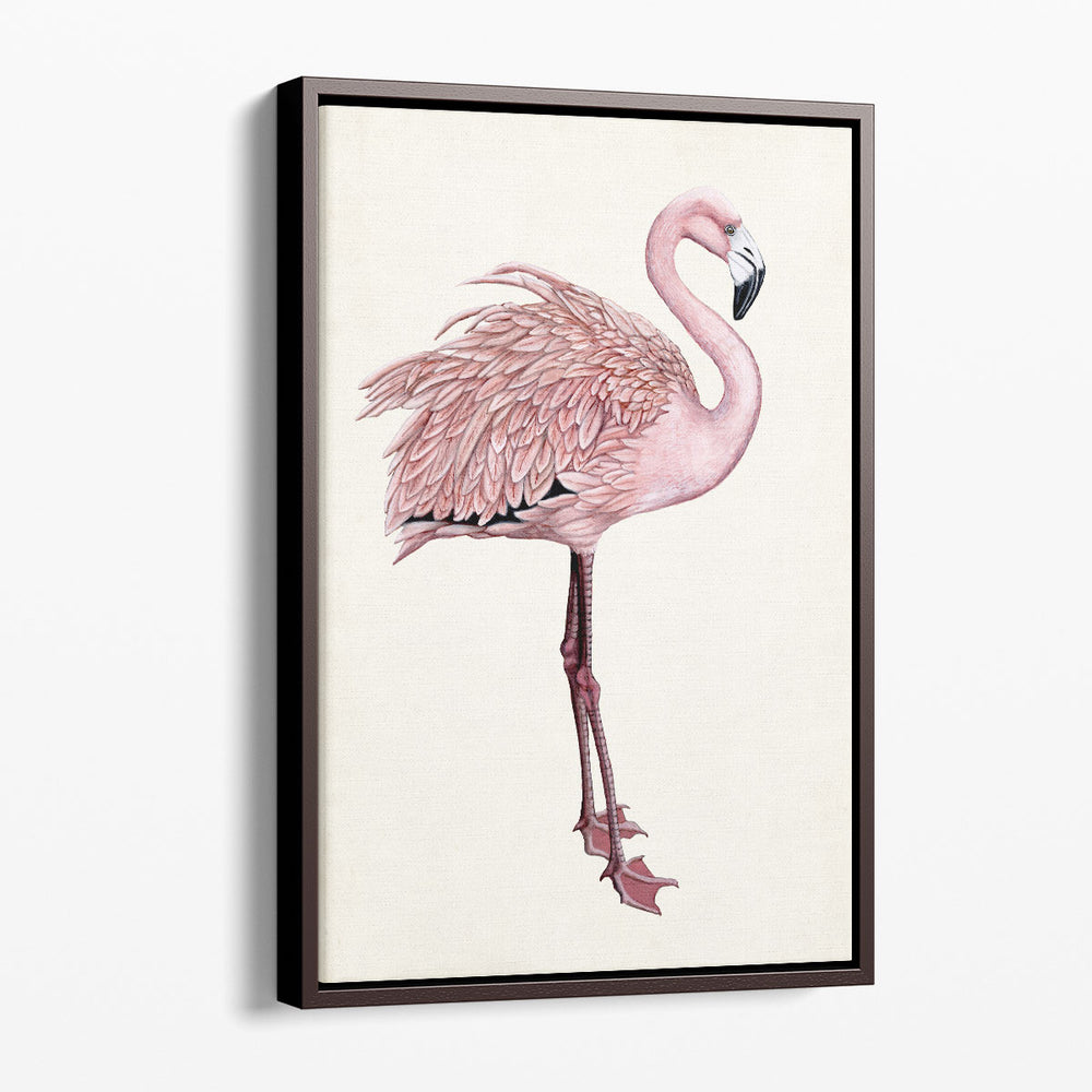 Striking Flamingo I - Canvas Print Wall Art