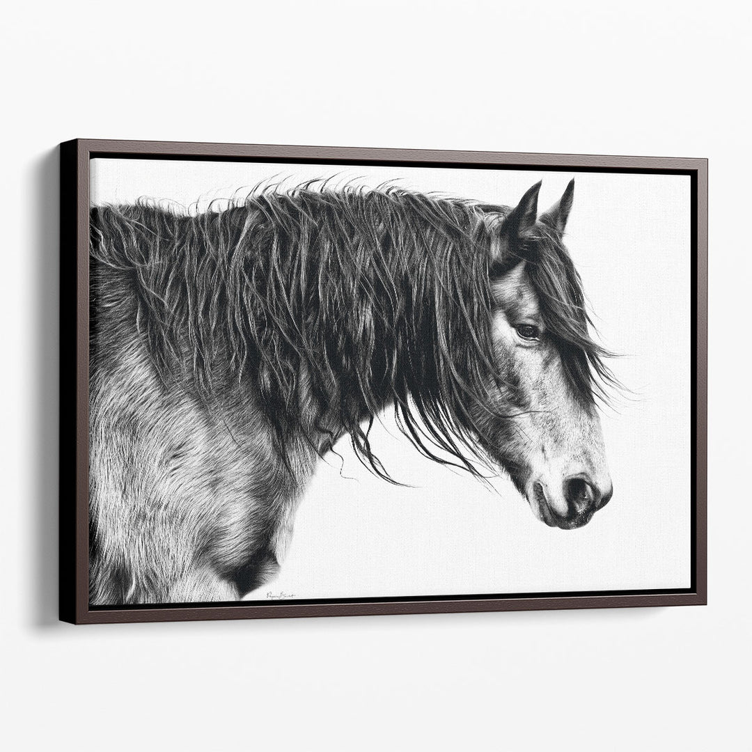 Black and White Horse Portrait III - Canvas Print Wall Art