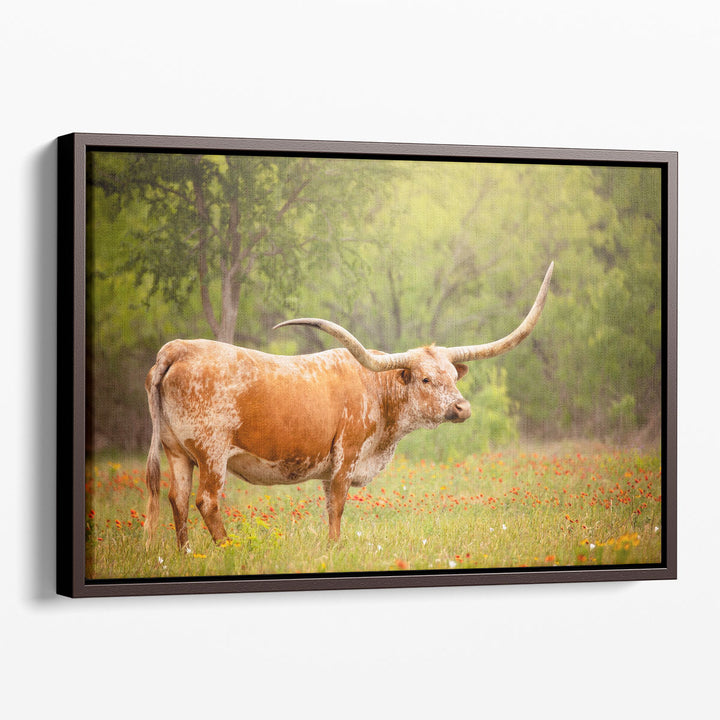 Sunlit Midwest I - Canvas Print Wall Art