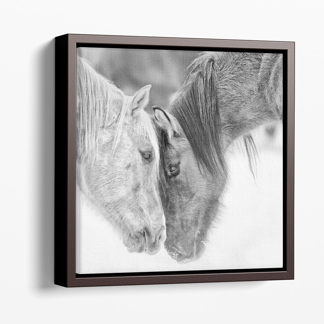 BandW Horses VII - Canvas Print Wall Art