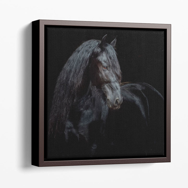 Equine Portrait XI - Canvas Print Wall Art