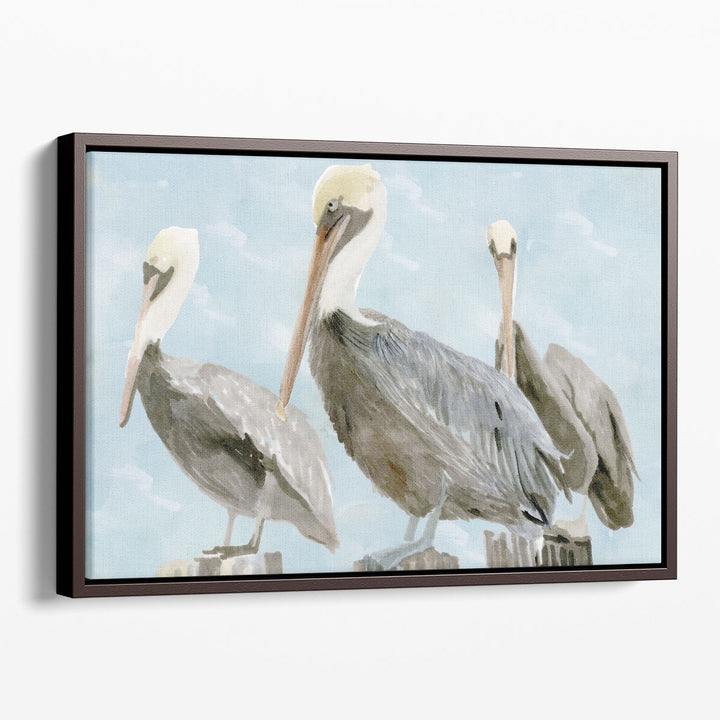 Soft Brown Pelican III - Canvas Print Wall Art