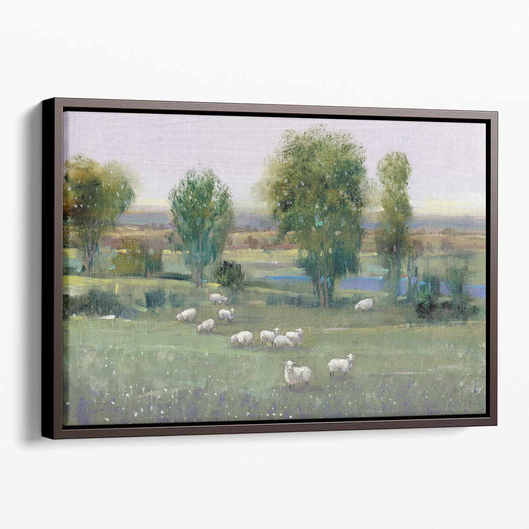 Field Of Sheep I - Canvas Print Wall Art